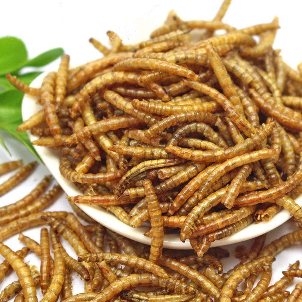 HANDPOINT 22 lbs Dried Mealworms, 100% Non-GMO Natural High-Protein,Treats for Chicken, Fish, Bird Food(22LB)